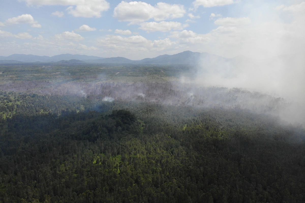 ผู้ว่าฯนราธิวาสห้ามผู้ไม่เกี่ยวข้องเข้าพื้นที่ป่าพรุบาเจาะ ไฟไหม้เสียหายกว่า100ไร่