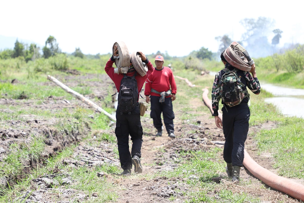 ผู้ว่าฯนราธิวาสห้ามผู้ไม่เกี่ยวข้องเข้าพื้นที่ป่าพรุบาเจาะ ไฟไหม้เสียหายกว่า100ไร่
