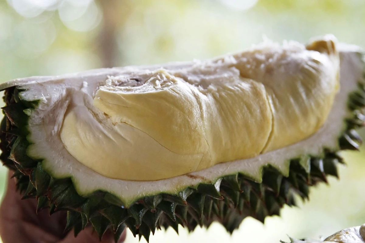 'ทุเรียน' ราชาแห่งผลไม้กับพลังงานที่ซ่อนอยู่