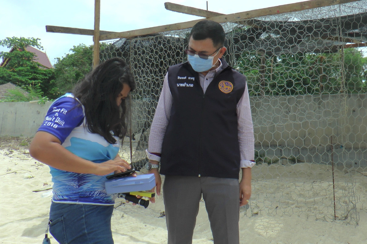 เต่าทะเลวางไข่บนเกาะสมุยมากที่สุดในรอบ10ปีช่วงโควิด-19