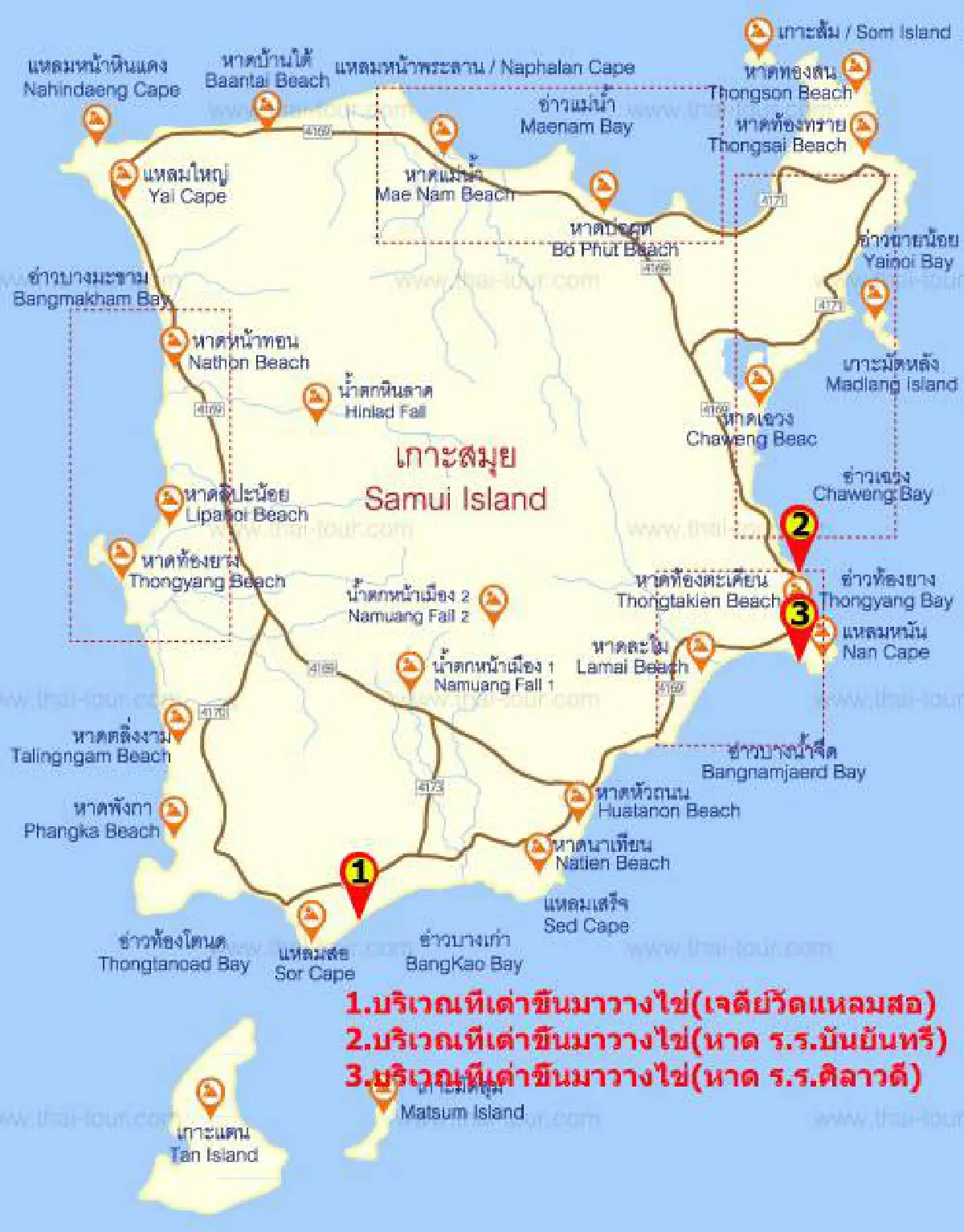 เต่าทะเลวางไข่บนเกาะสมุยมากที่สุดในรอบ10ปีช่วงโควิด-19