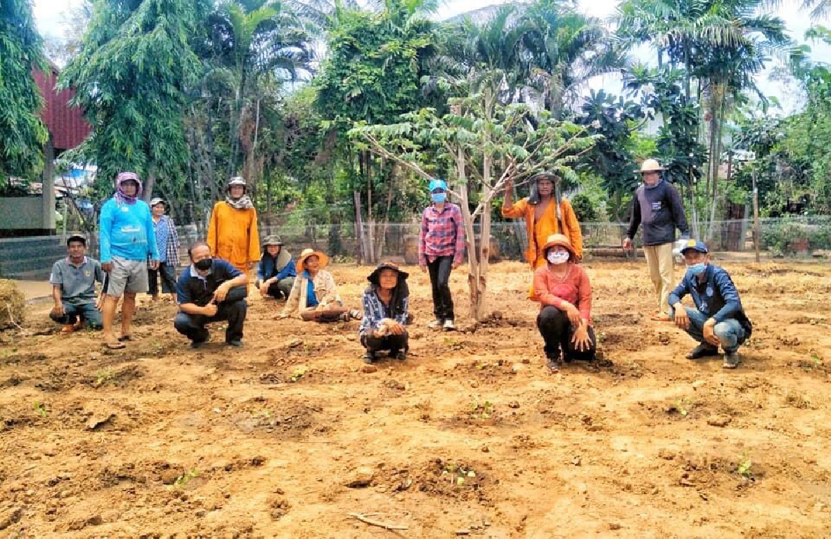 หลายจังหวัดปลูกผักสวนครัวบูรณาการจากริมรั้วบ้านสู่ลานวัด