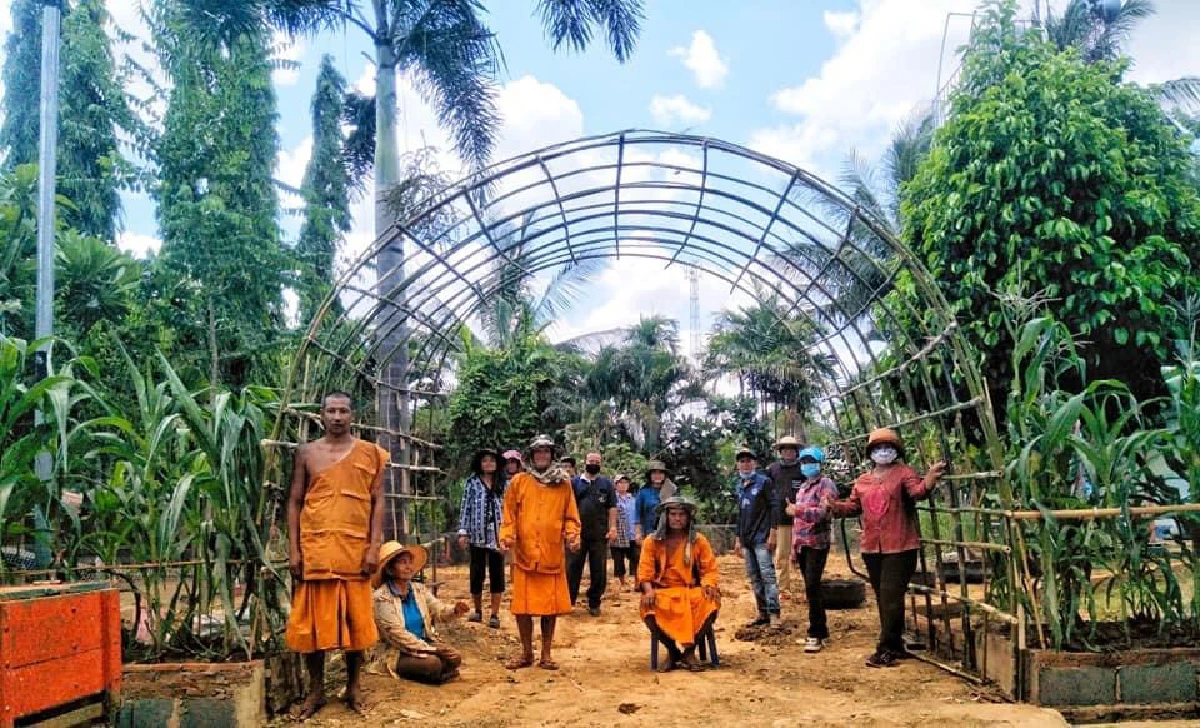 หลายจังหวัดปลูกผักสวนครัวบูรณาการจากริมรั้วบ้านสู่ลานวัด