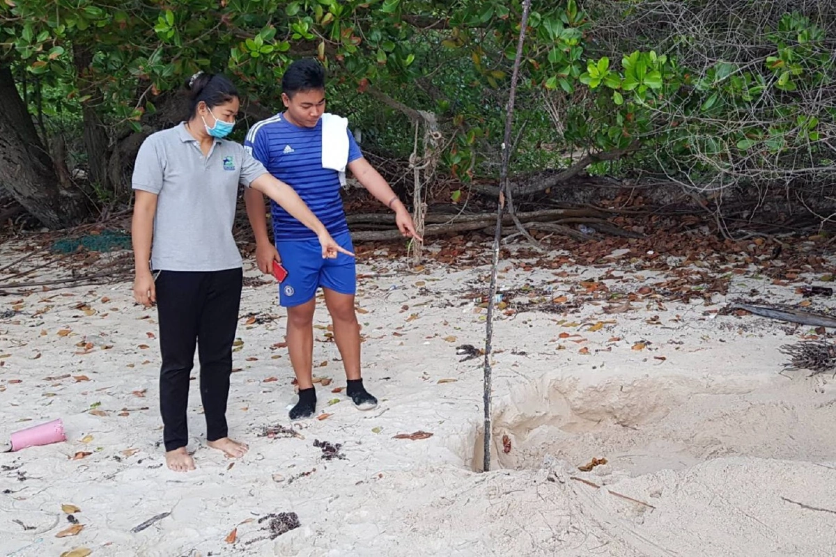 "ดร.ธรณ์"หนุนสร้างแบรนด์จุดขายท่องเที่ยวใหม่"เกาะสมุยเกาะแห่งเต่า"