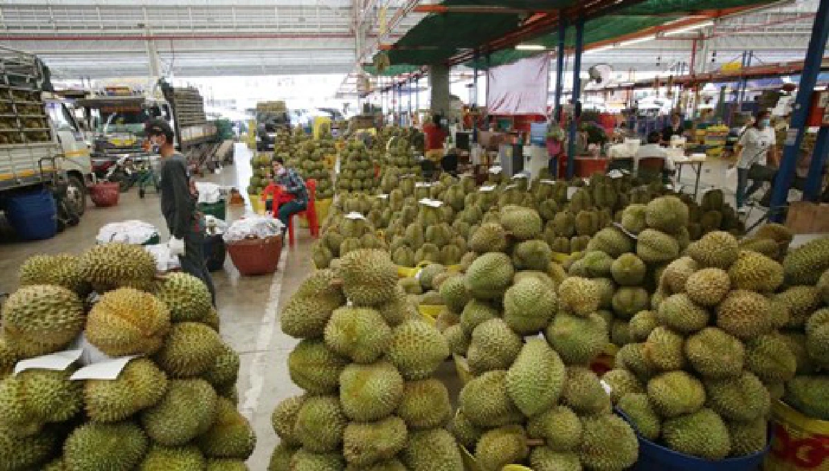 ‘พาณิชย์’ ลุยปลดล็อคโลจิสติกส์ บก-น้ำ-อากาศ หวังฟื้นส่งออกไทยหลังพ้นโควิด