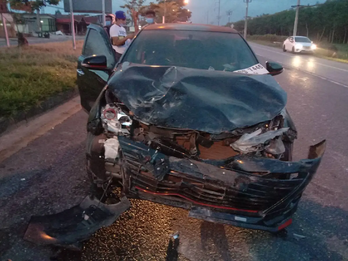 กรรมเจ้าทุย! ควายเผือกวิ่งข้ามถนนถูกชนอย่างจังขาหักสองข้าง