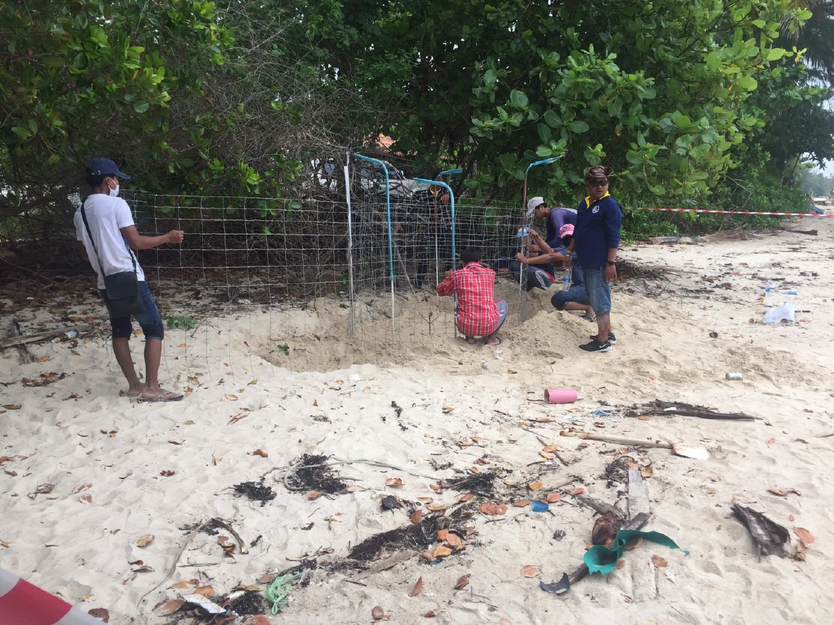 "ดร.ธรณ์"หนุนสร้างแบรนด์จุดขายท่องเที่ยวใหม่"เกาะสมุยเกาะแห่งเต่า"