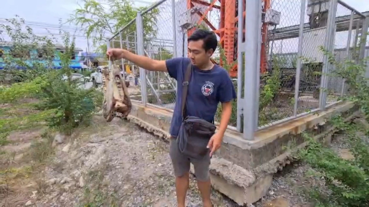 หนุ่มเมียนมายืนฉี่ในป่าเจอหัวจระเข้โผล่อ้าปากตกใจเผ่นป่าราบ