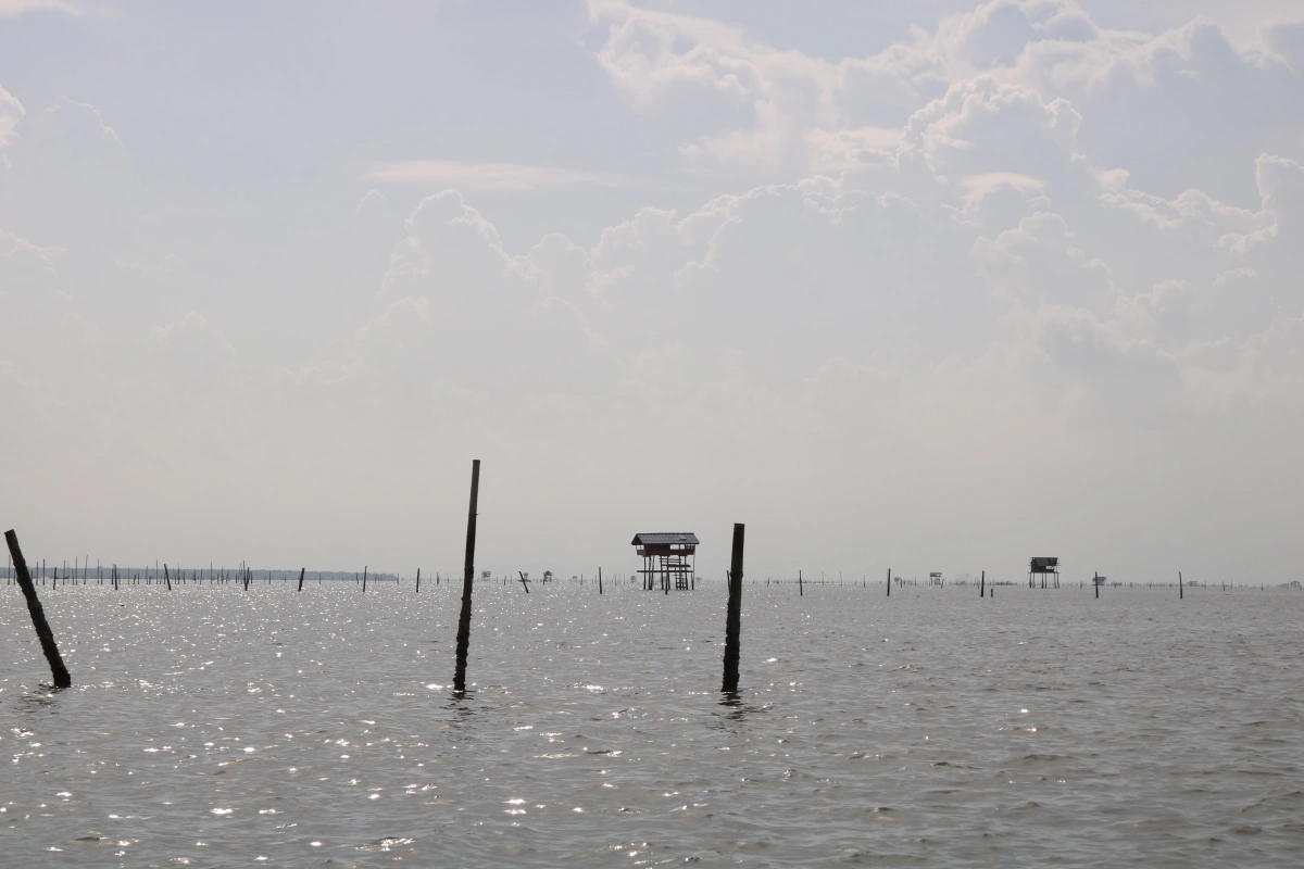 มท.2 กำชับดูแลความปลอดภัยชาวประมงพื้นบ้านจับลูกหอยอ่าวบ้านดอน 