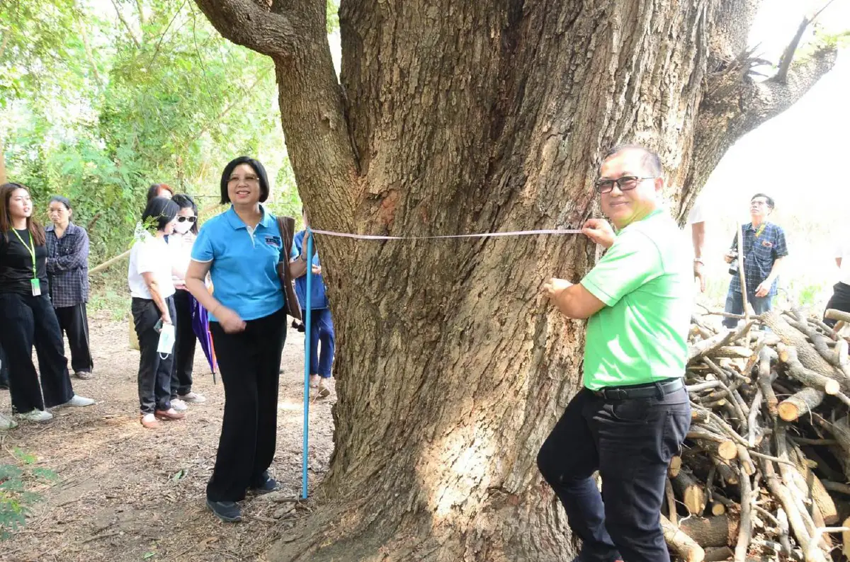 "พาณิชย์"แนะเกษตรกรใช้ “ไม้ยืนต้น” ค้ำกู้เงินกับ ธ.ก.ส.