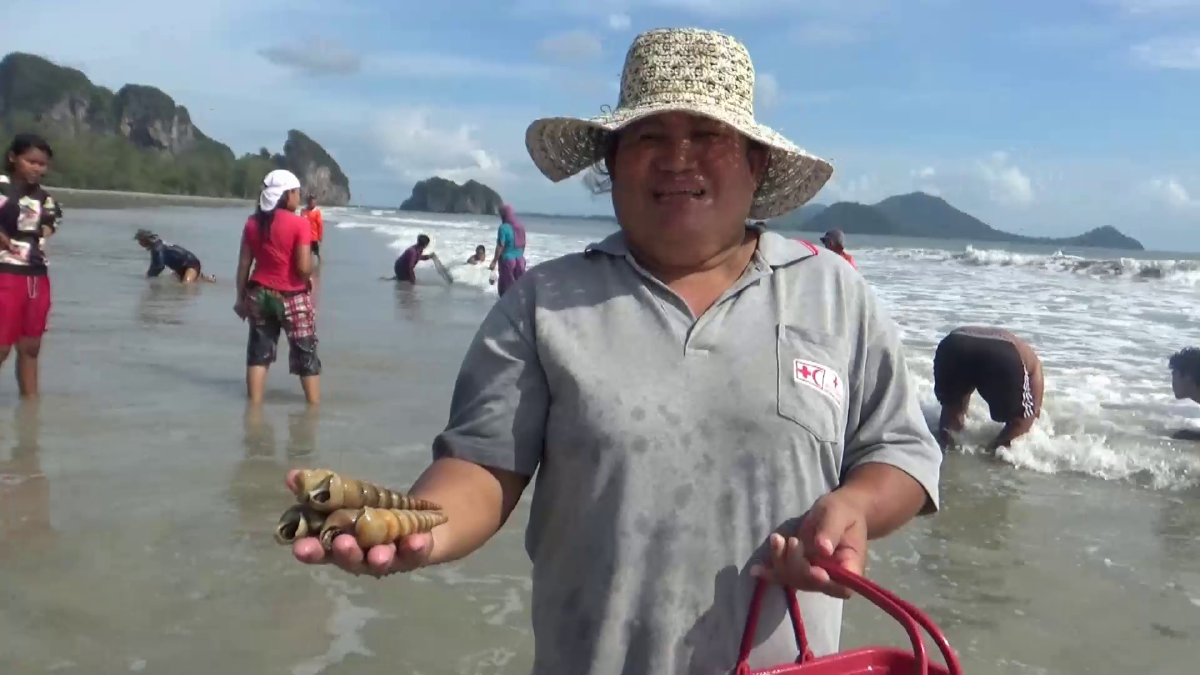ชาวบ้านแห่จับหอยชายหาดสร้างรายได้ช่วงโควิด-19 ระบาด