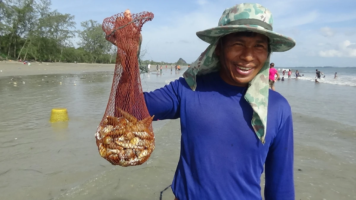 ชาวบ้านแห่จับหอยชายหาดสร้างรายได้ช่วงโควิด-19 ระบาด