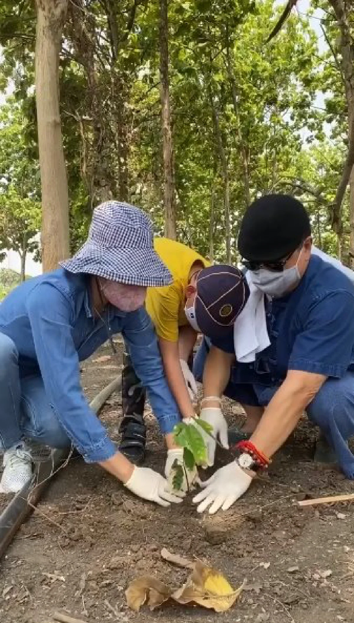 “ตั๊ก บงกช” พาชม “ไร่เบญจรงคกุล” พ่อแม่ลูกช่วยกันปลูกต้นโกโก้อย่างสนุกสนาน
