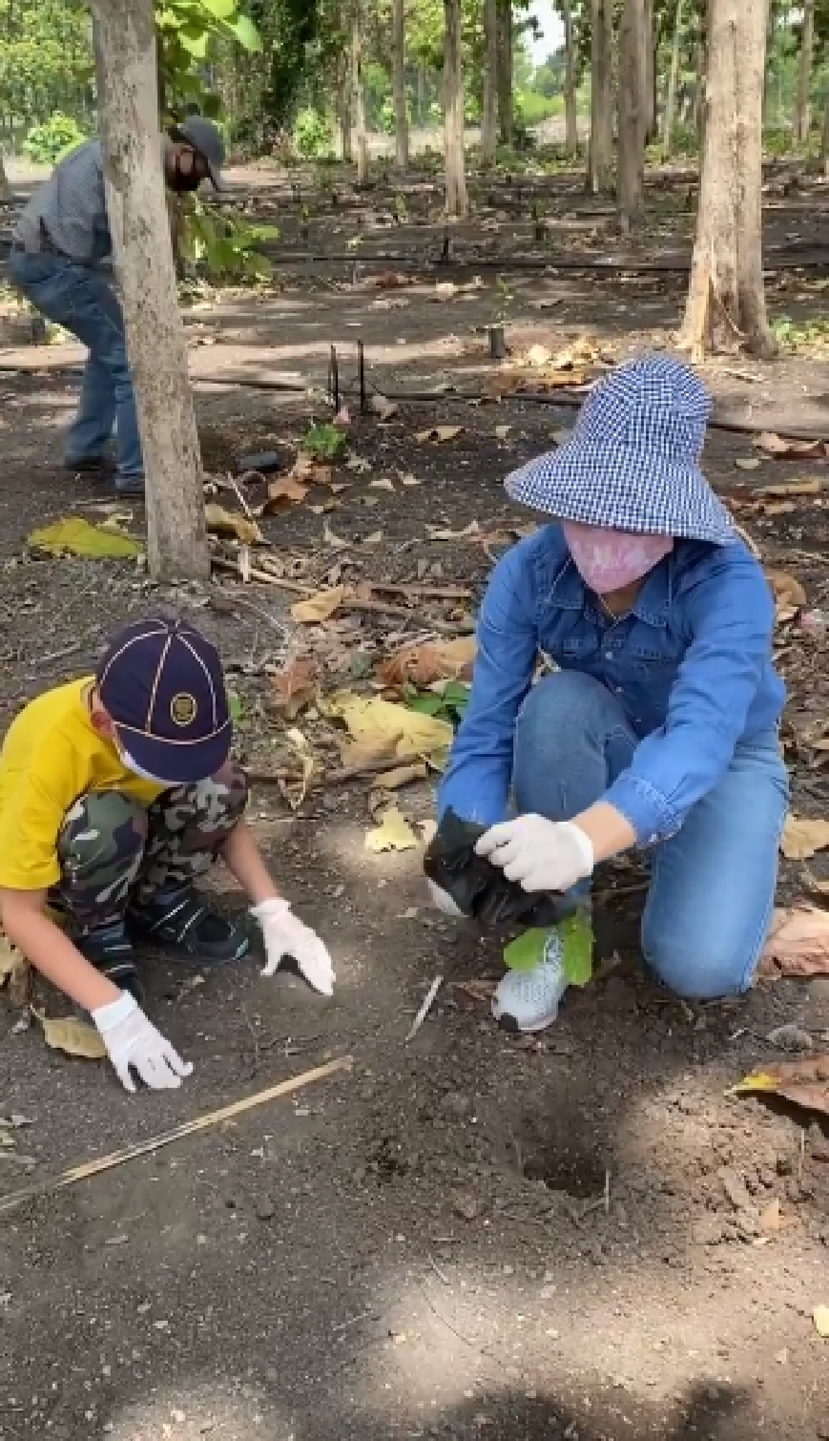 “ตั๊ก บงกช” พาชม “ไร่เบญจรงคกุล” พ่อแม่ลูกช่วยกันปลูกต้นโกโก้อย่างสนุกสนาน