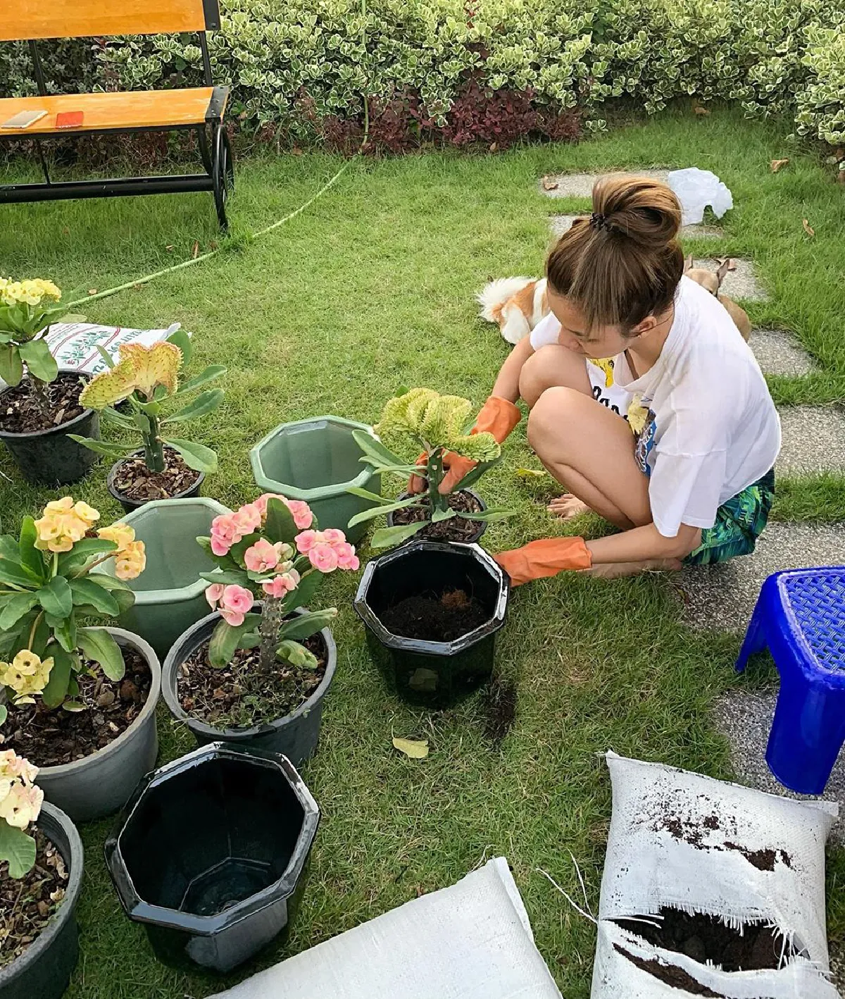 จ๊ะ อาร์สยาม โพสต์ภาพรักต้นไม้ แต่เงาในกระจกเซ็กซี่สุดๆ 