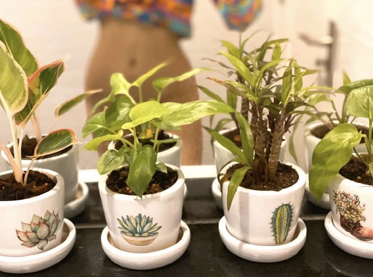 จ๊ะ อาร์สยาม โพสต์ภาพรักต้นไม้ แต่เงาในกระจกเซ็กซี่สุดๆ 