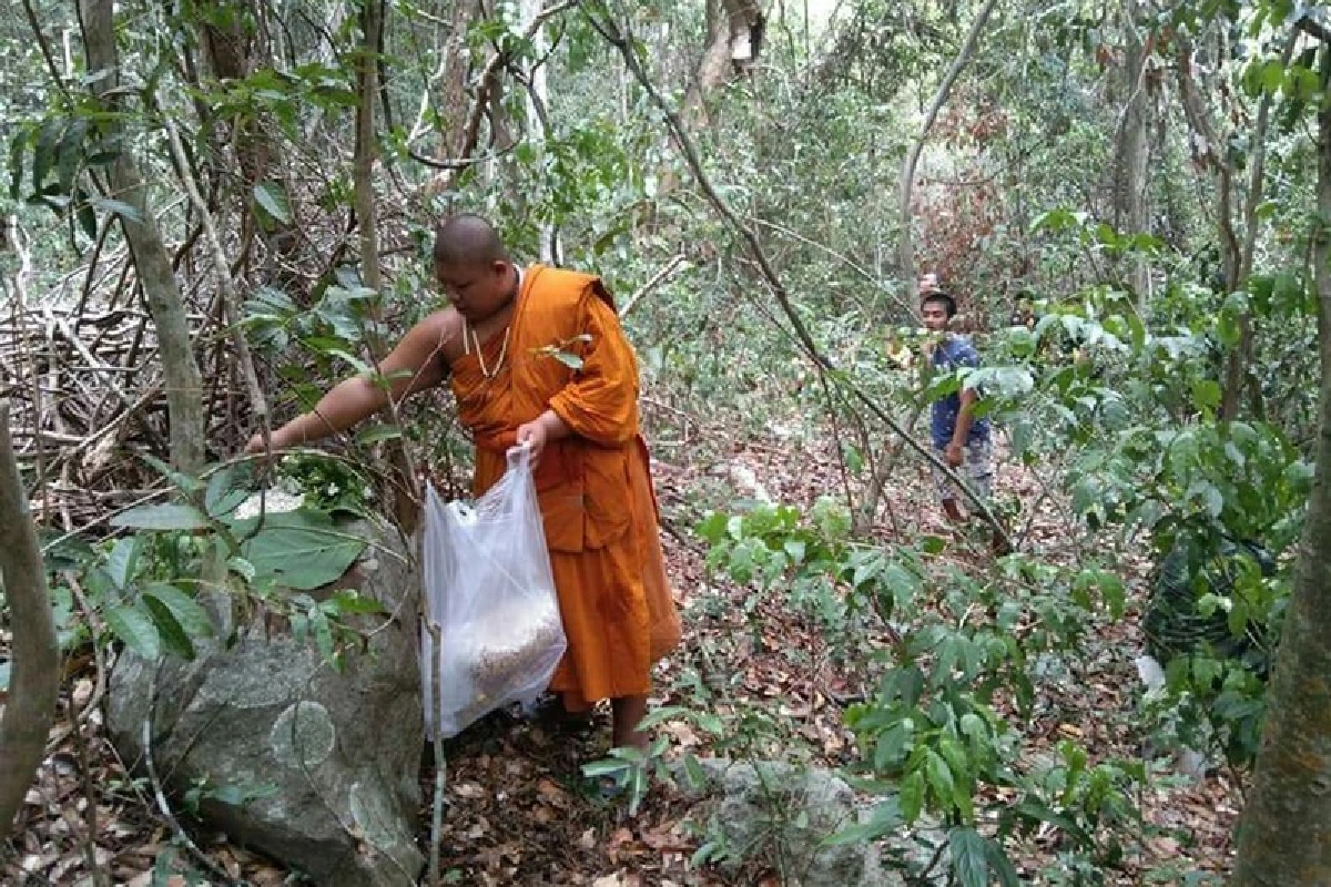 เจอแล้วคนหายในป่าตาพระยานาน4วันอ้างเข้าไปหาเห็ด-อึ่ง