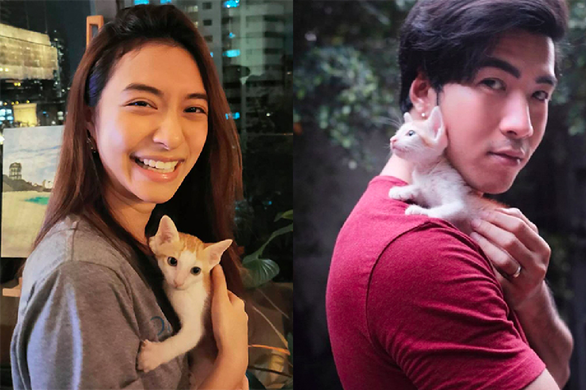 "มิว นิษฐา" ไม่พลาดขอถ่ายรูปด้วย “น้องส้มหยุด" ลูกแมวเซเลบแมวของ "โย่ง อาร์มแชร์" "มิว นิษฐา" ไม่พลาดขอถ่ายรูปด้วย “น้องส้มหยุด" ลูกแมวเซเลบแมวของ "โย่ง อาร์มแชร์"