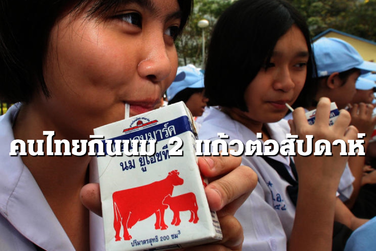 "ไทย" ที่โหล่อาเซียนดื่มนม 2 แก้วต่อสัปดาห์ "ไทย" ที่โหล่อาเซียนดื่มนม 2 แก้วต่อสัปดาห์