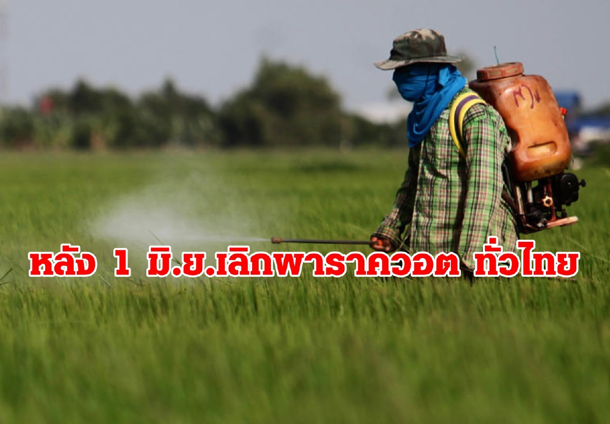 หลัง 1 มิ.ย. เลิกพาราควอต ทั่วไทย หลัง 1 มิ.ย. เลิกพาราควอต ทั่วไทย