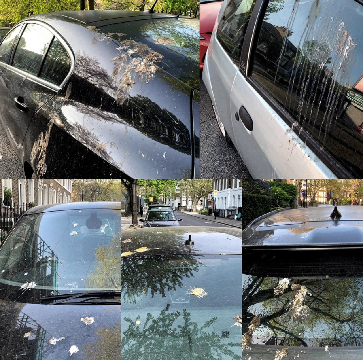 ฟอร์ด คิดค้น “ขี้นกเทียม”เพื่อทดสอบการปกป้องสีรถ