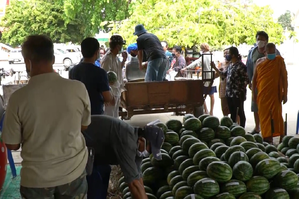 หนุ่มขนแตงโม14ตันแก้บนเรือโบราณหลังได้โชคเลขเด็ด