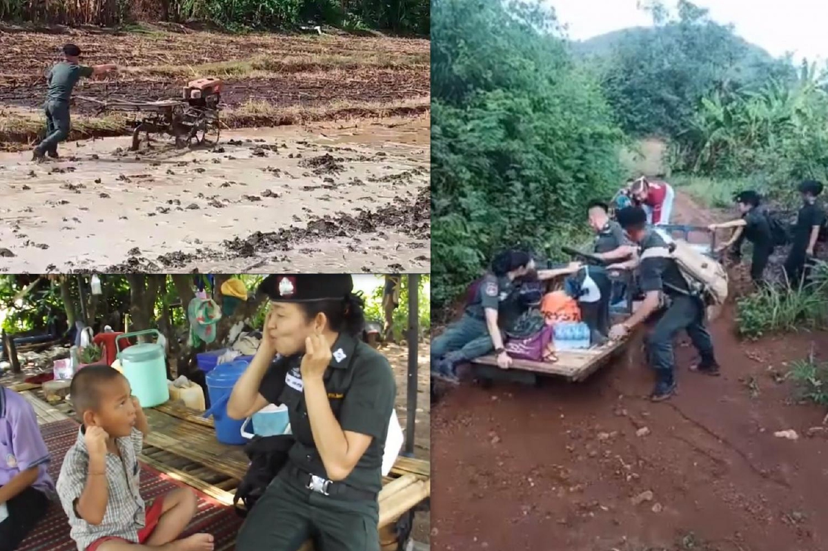 เพื่อลูกศิษย์ทำได้! ครู ตชด.ช่วยครอบครัวนักเรียนไถนา-เลี้ยงวัว เพื่อลูกศิษย์ทำได้! ครู ตชด.ช่วยครอบครัวนักเรียนไถนา-เลี้ยงวัว