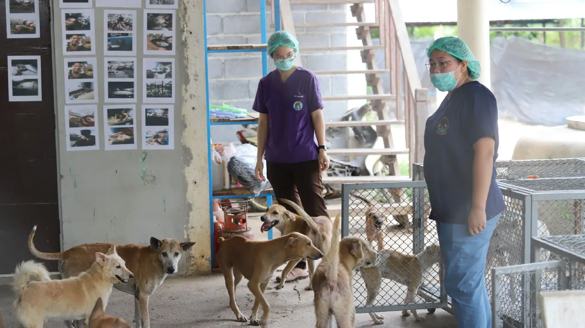 พระราชทานอาหารสัตว์ให้สถานสงเคราะห์สัตว์บ้านตลก"ต๊ะติ๋งโหน่ง"