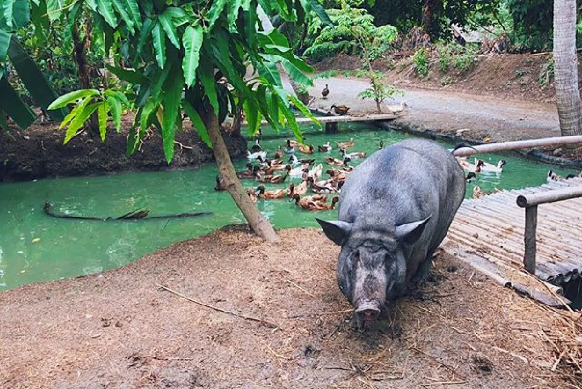 แมทธิว-ลิเดีย พา น้องดีแลน ชมธรรมชาติ สัมผัสชีวิตชาวไร่ยุคโควิด