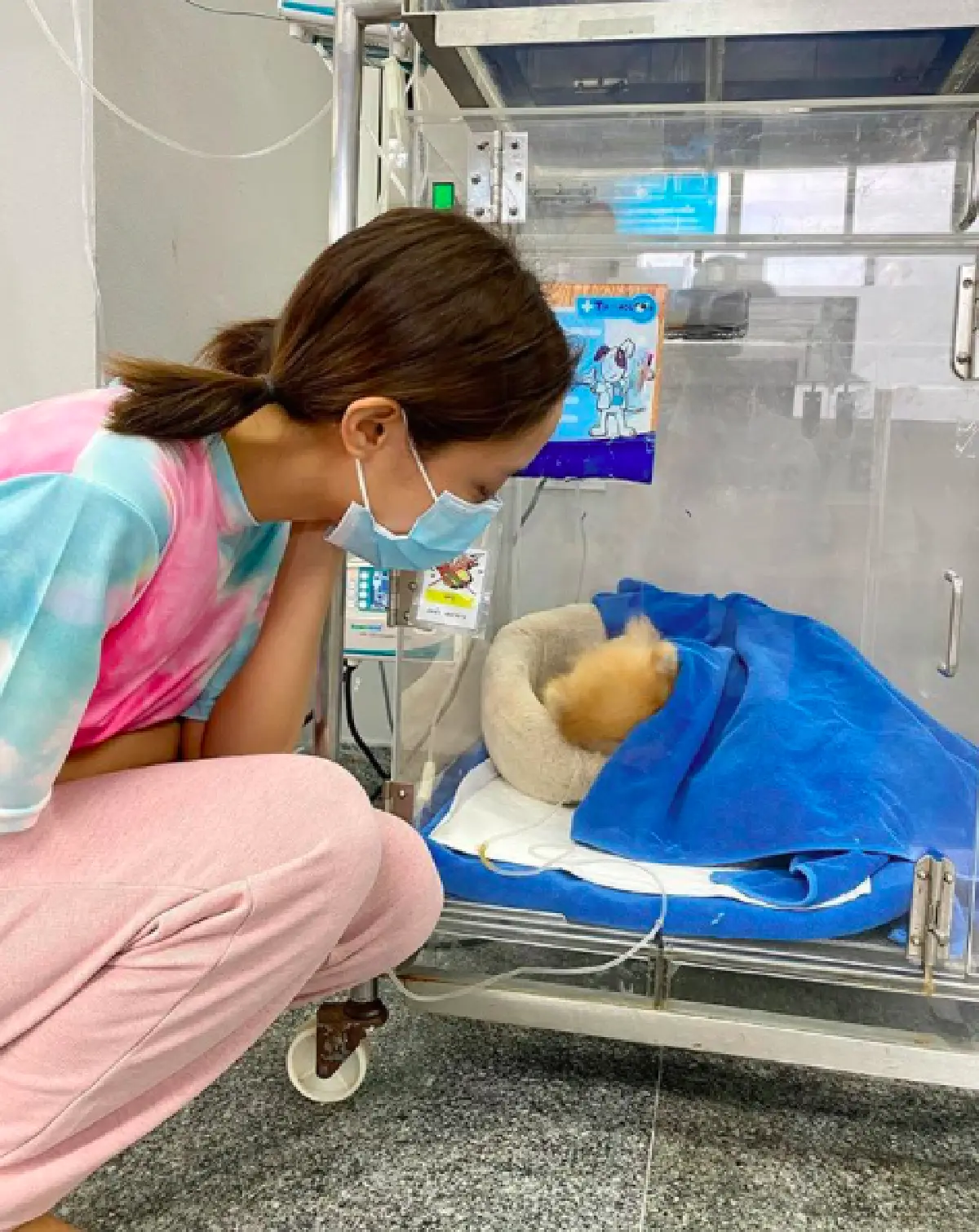 "น้ำชา ชีรณัฐ" ใจแทบขาด "น้องน้ำเปล่า" สุนัขสุดรักอายุ 16 ปี ป่วยหนัก