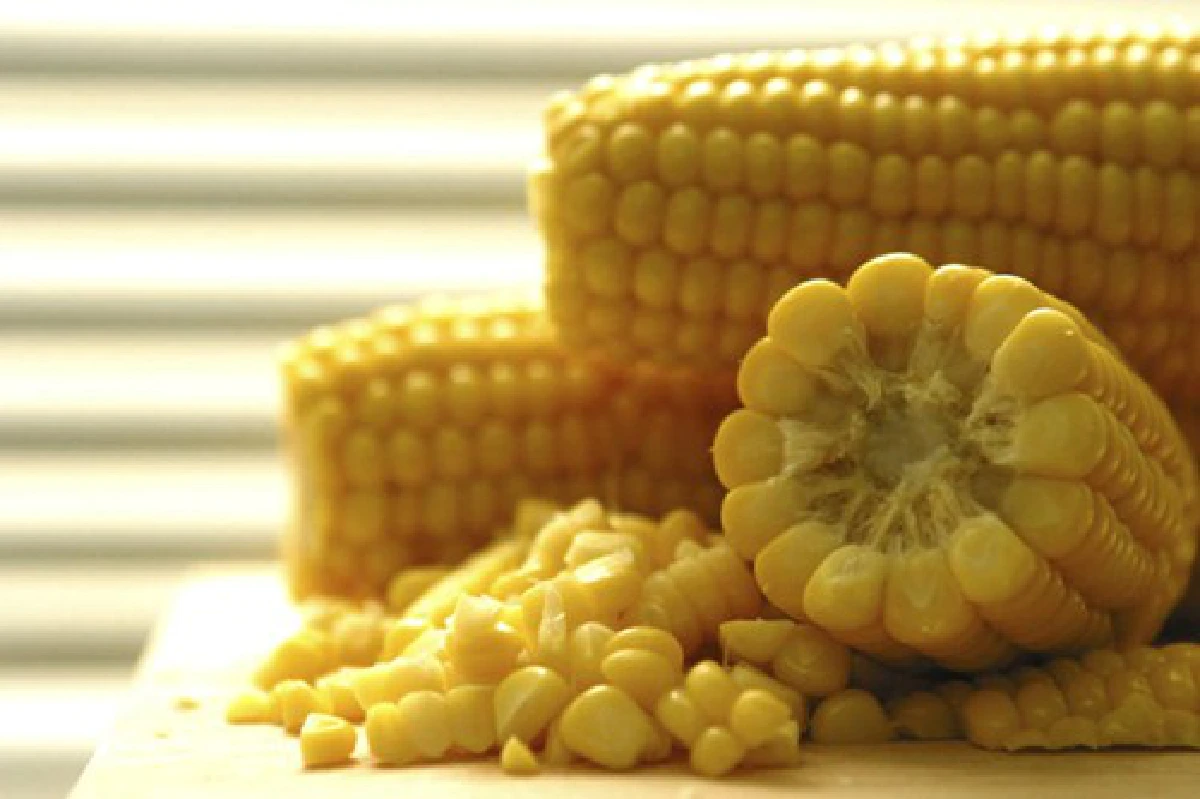 ชวนเกษตรกรไทยปลูกข้าวโพดหวานช่วงโควิด โกยรายได้เฉียดหมื่นบาทต่อไร่