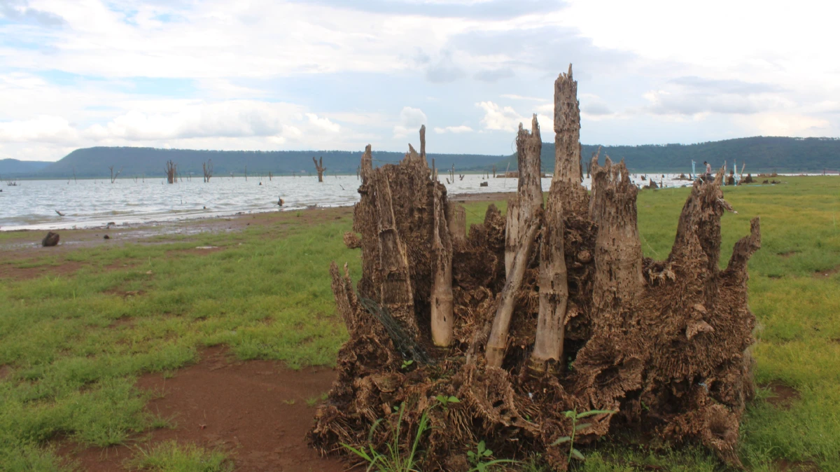 สุดทึ่ง!ศิลปะใต้น้ำเขื่อนลำแชะโผล่ให้ชมความงามในรอบ 21 ปี