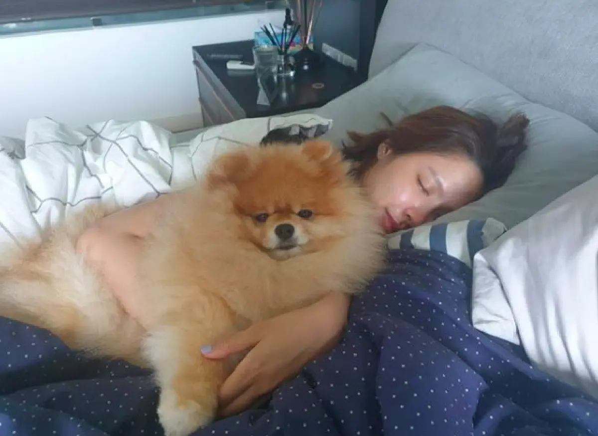 "น้ำชา ชีรณัฐ" ใจแทบขาด "น้องน้ำเปล่า" สุนัขสุดรักอายุ 16 ปี ป่วยหนัก