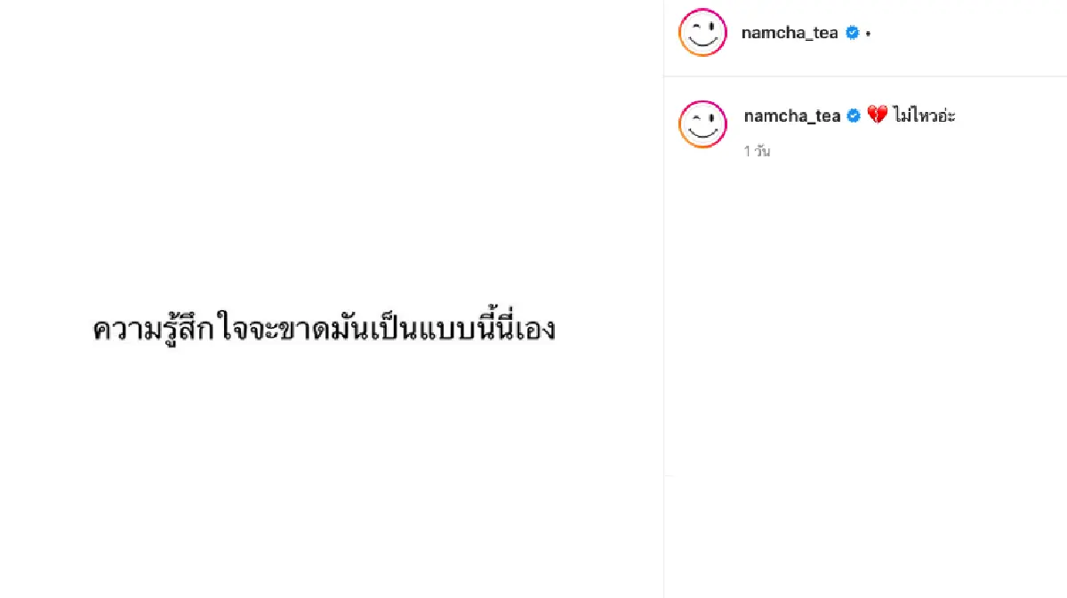 "น้ำชา ชีรณัฐ" ใจแทบขาด "น้องน้ำเปล่า" สุนัขสุดรักอายุ 16 ปี ป่วยหนัก