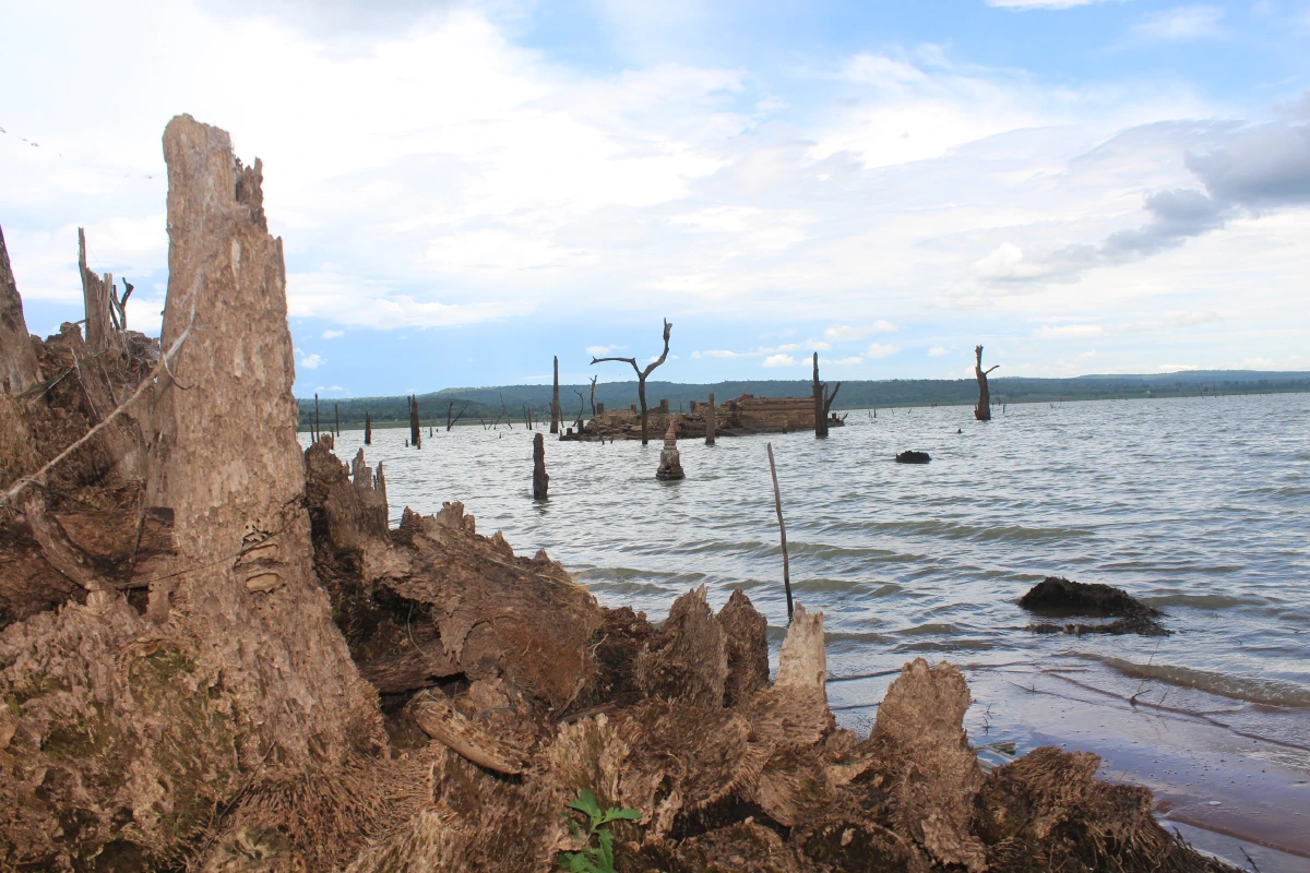 สุดทึ่ง!ศิลปะใต้น้ำเขื่อนลำแชะโผล่ให้ชมความงามในรอบ 21 ปี