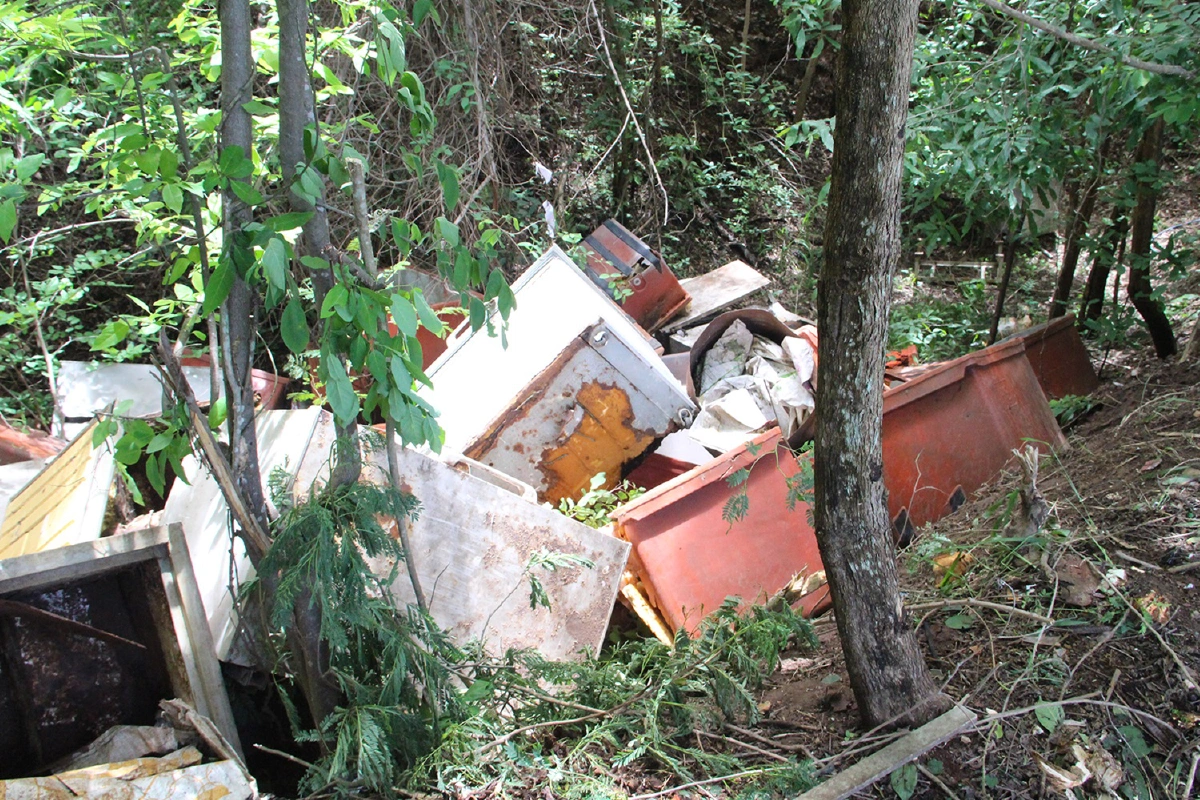 วีระนำชี้แนวเขตไร่ทวีพ่อปารีณาอีกรอบ พบเอกสารที่ดินถูกทิ้งเกลื่อน