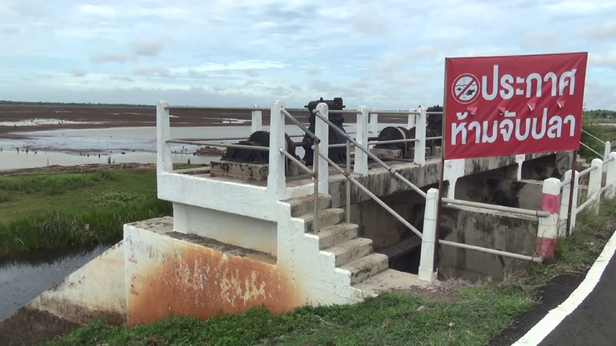 บุรีรัมย์ยังไม่พ้นวิกฤตภัยแล้งเขื่อน-อ่างเก็บน้ำ 12 แห่งแห้งขอด