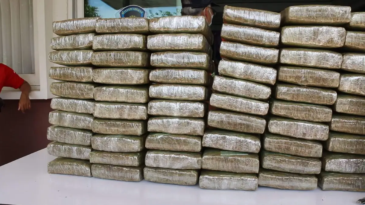 แม่ค้าแตงโมคิดรวยทางลัดรับจ้างขนกัญชา 200 กก.ไม่รอดตาตร.ทางหลวง