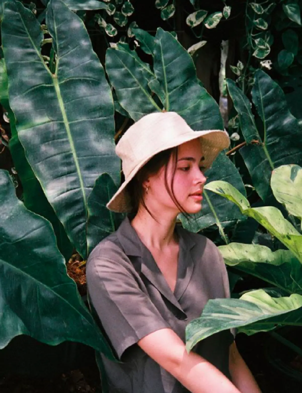 ชาวเน็ตแต่งภาพ "ญาญ่า" ขณะกำลังเช็ดใบไม้ ให้ช่วยดันราคายางพารา