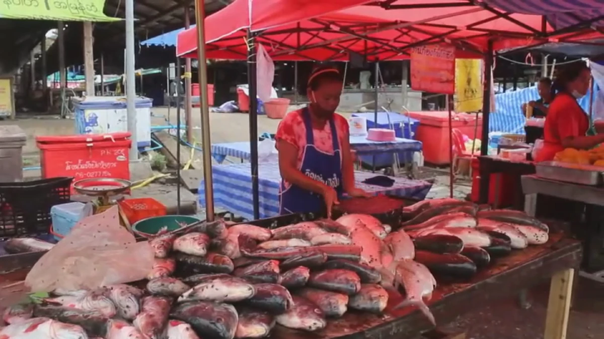 น่าขยะแขยง!กองทัพแมลงวันนับล้านตัวบุกตลาดสดวังกะ