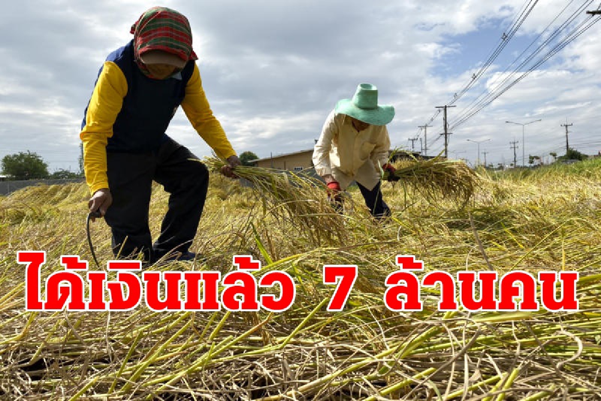 แจกเงิน5พันเกษตรกรแล้ว7ล้านคน แจกเงิน5พันเกษตรกรแล้ว7ล้านคน
