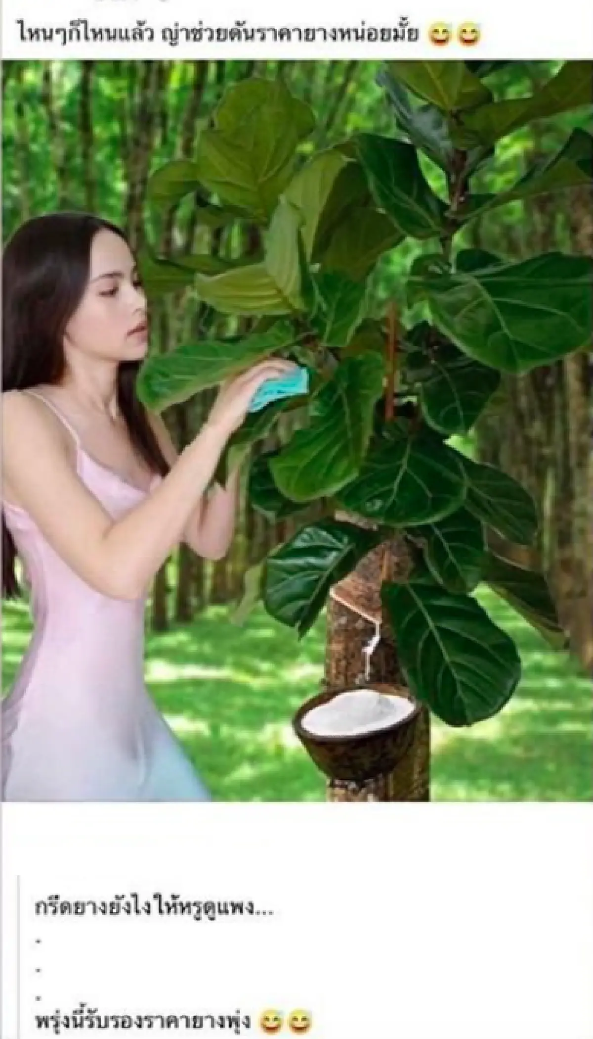 ชาวเน็ตแต่งภาพ "ญาญ่า" ขณะกำลังเช็ดใบไม้ ให้ช่วยดันราคายางพารา