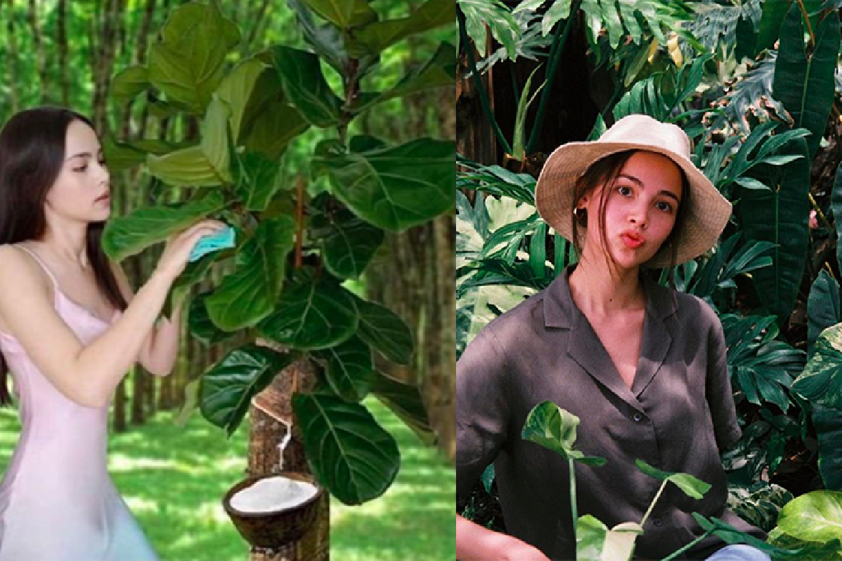 ชาวเน็ตแต่งภาพ "ญาญ่า" ขณะกำลังเช็ดใบไม้ ให้ช่วยดันราคายางพารา ชาวเน็ตแต่งภาพ "ญาญ่า" ขณะกำลังเช็ดใบไม้ ให้ช่วยดันราคายางพารา