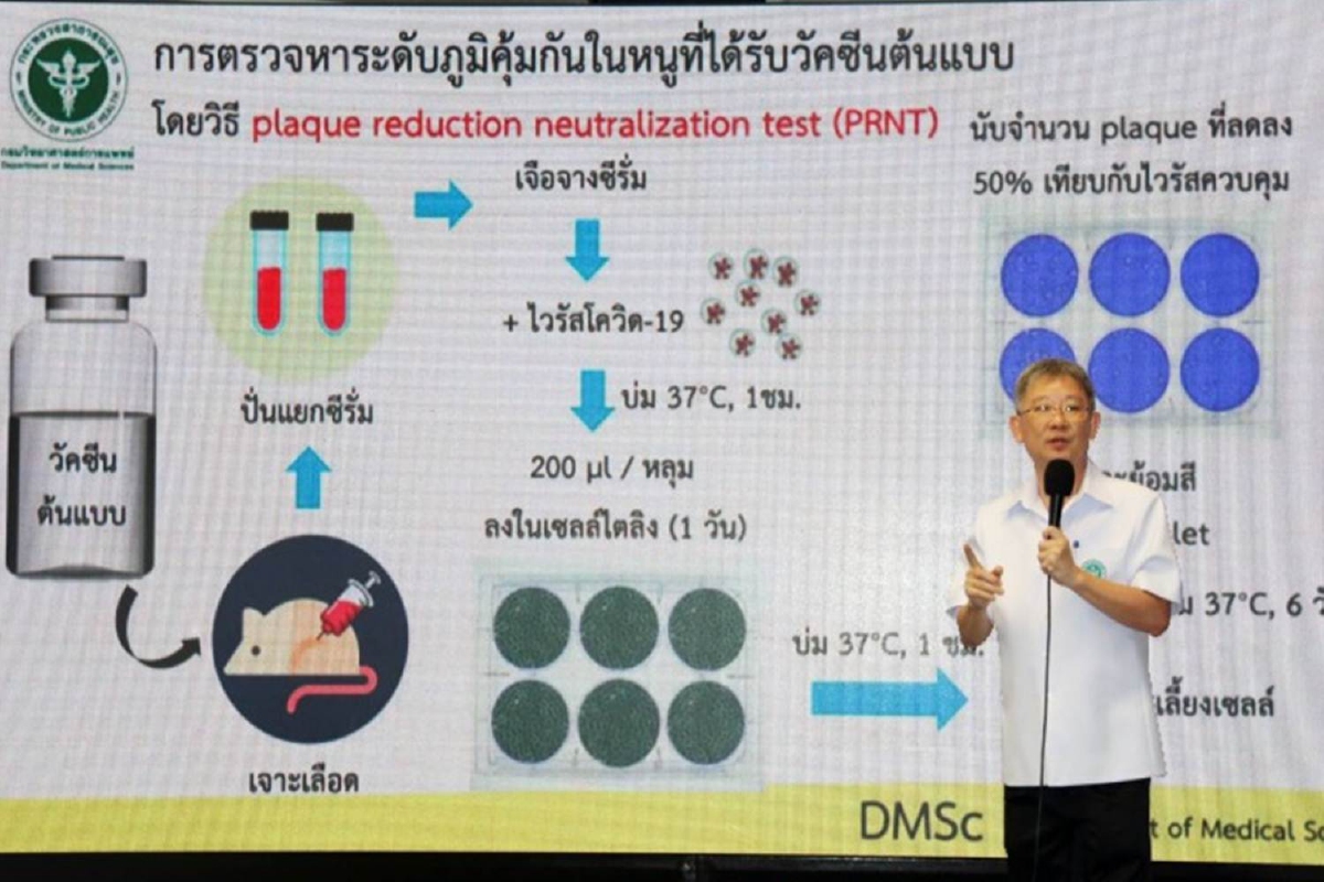 กรมวิทย์ฯ เผยขั้นตอนตรวจหาระดับภูมิคุ้มกันในหนูที่ได้รับวัคซีนโควิด 19 กรมวิทย์ฯ เผยขั้นตอนตรวจหาระดับภูมิคุ้มกันในหนูที่ได้รับวัคซีนโควิด 19