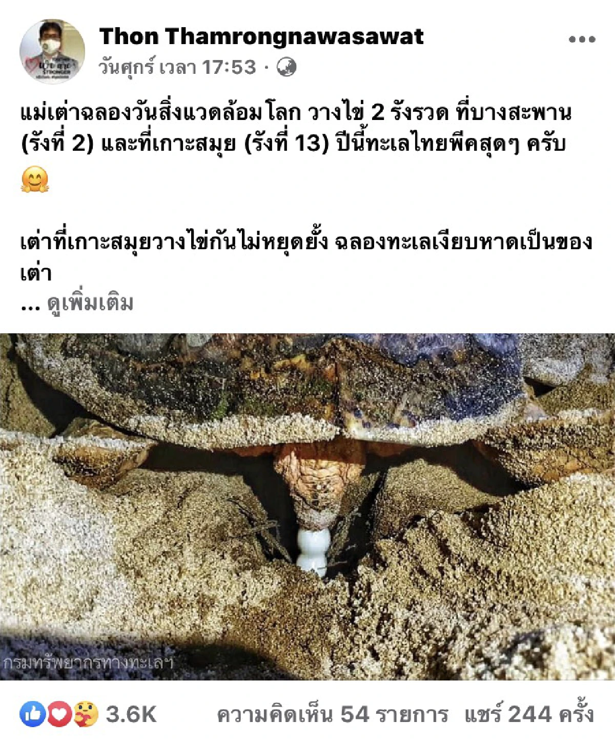 "ดร.ธรณ์"ลุ้นเต่าเกาะสมุยวางไข่ทำลายสถิติเต่ามะเฟืองอันดามัน
