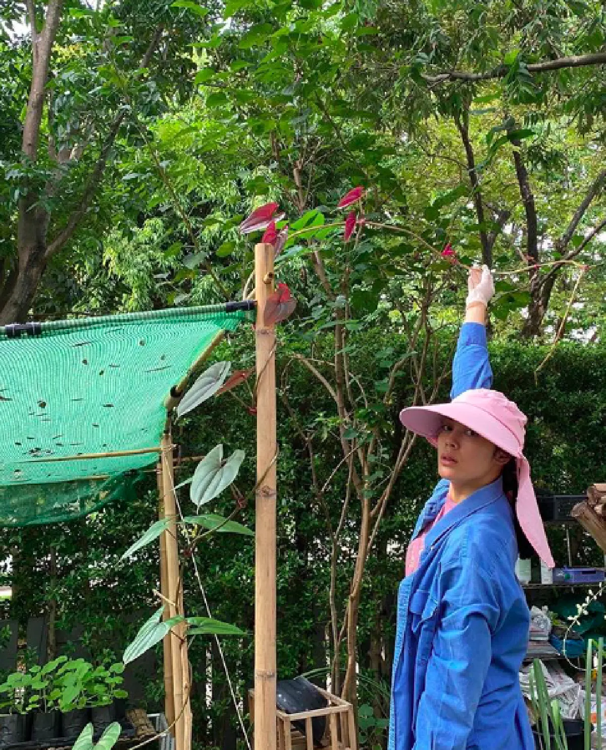 “ตั๊ก บงกช” ฝันถึงแม่จนนอนร้องไห้ ด้าน “เจ้าสัวบุญชัย” น่ารักมาก ลงไปดูแลสวนให้