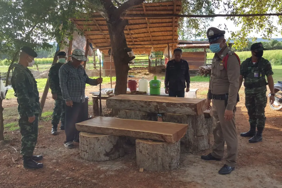 กองกำลังบูรพายึดไม้หวงห้ามแปรรูปกลางสวนปาล์มพื้นที่กว่า100ไร่