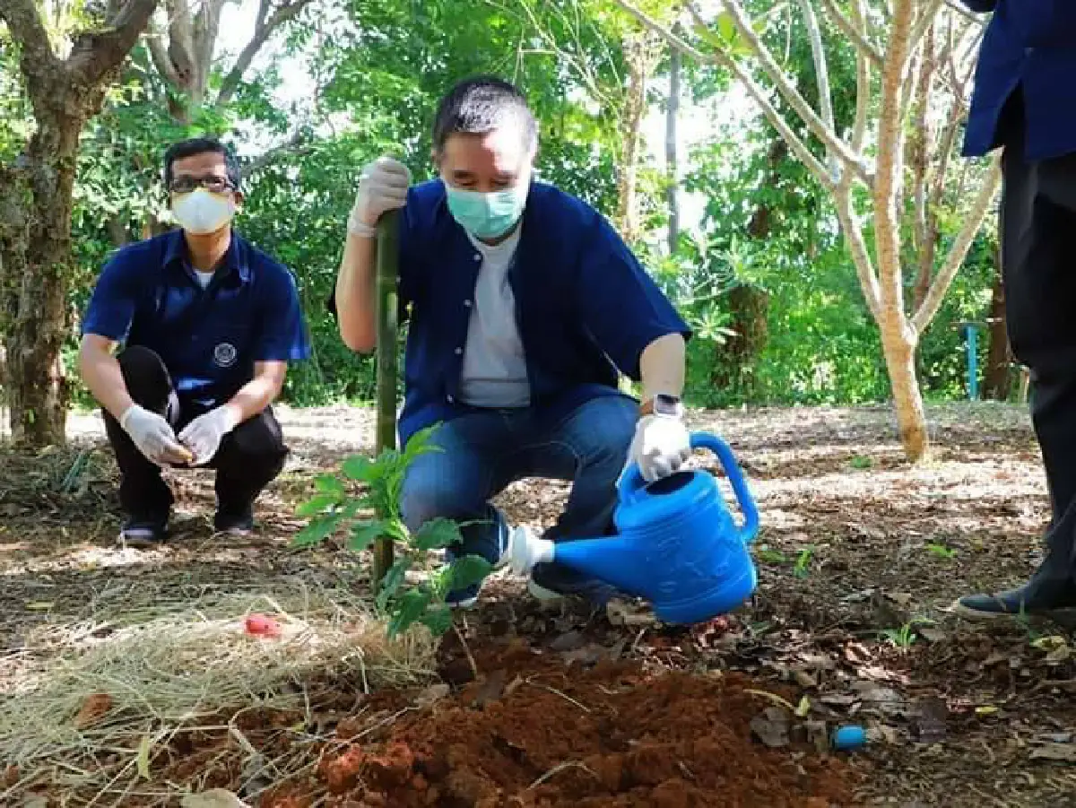 กระบี่หนุนปลูกพืชผสมผสานสร้างความมั่นคงด้านอาหาร