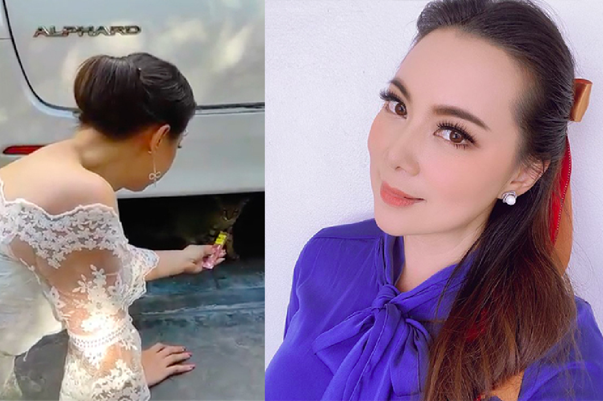 "บุ๋ม ปนัดดา" ก้มให้อาหารแมวใต้รถ แบบไม่ห่วงสวย ไม่ห่วงชุดกันเลย "บุ๋ม ปนัดดา" ก้มให้อาหารแมวใต้รถ แบบไม่ห่วงสวย ไม่ห่วงชุดกันเลย