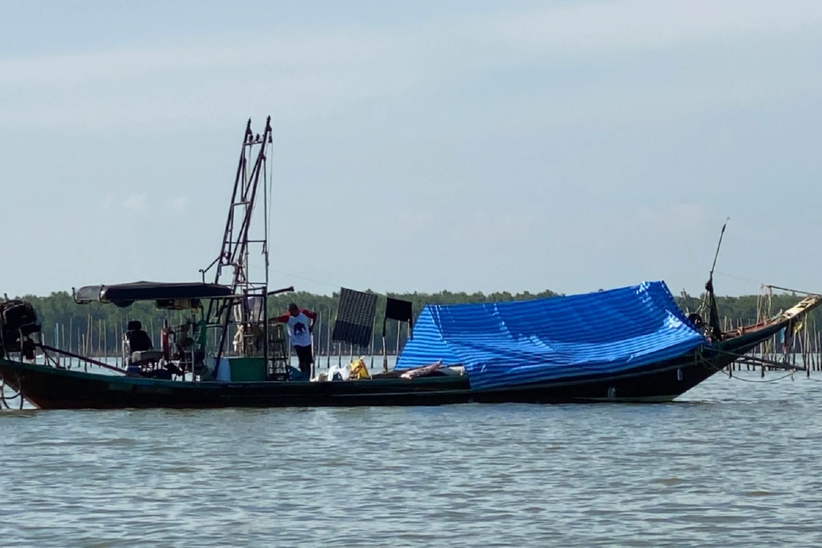 แฉพ่อค้าตัวการยุเรือประมงพื้นบ้านจับหอยคอกเลี้ยง-สุราษฎร์ฯทัพเรือภาค2สั่งงดรับซื้อ